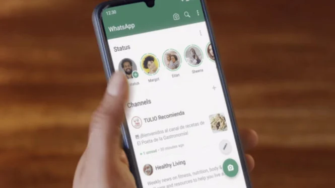 Penyebab Status WhatsApp Buram